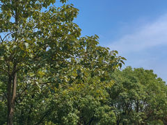 -宝界山林公园