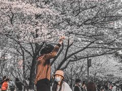 -西北湖绿化广场