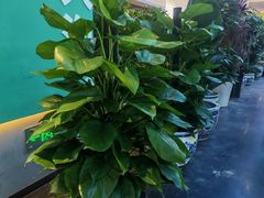 -百荣世贸商城