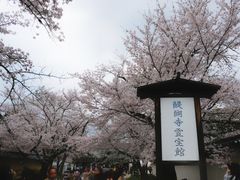 -醍醐寺