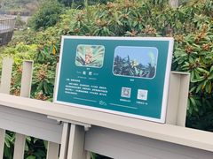 -梅峰山地公园