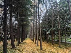 -洛阳市隋唐城遗址植物园