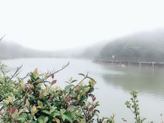 -永泰中国云顶