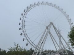 -日照海滨国家森林公园