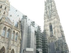 -斯蒂芬主教座堂(Stephansdom)