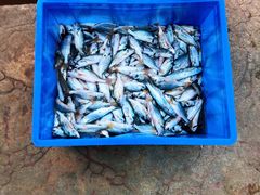 -碧桂园十里银滩