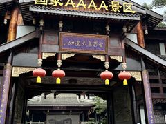 -乐山乌木文化博览苑