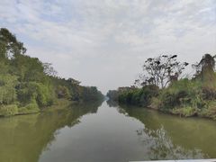 -大湾区中央湿地公园