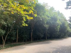 -春兰国宾馆(凤城河风景区老街店)