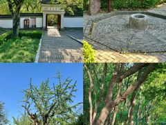 -上海佘山国家森林公园天马山园