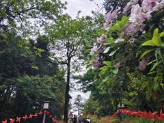 -天姥山景区