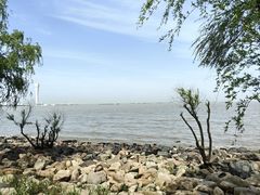 -上海吴淞炮台湾国家湿地公园