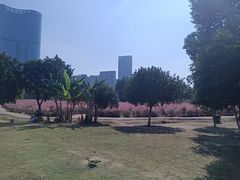 -艾溪湖湿地公园