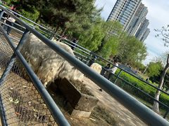 -长白岛森林公园