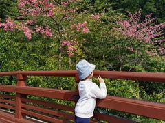 -云溪植物园