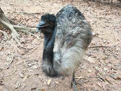 -广东茂名森林公园