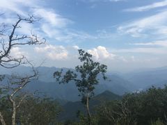 -牛背梁国家森林公园