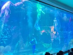 -海合安成都极地海洋公园
