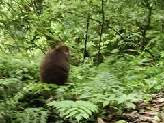 -西岭雪山大飞水景区