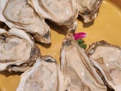 -阿古蒙·传统涮火锅自助(三台子万象汇店)