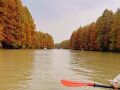 -上海海湾国家森林公园