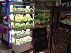 自助取餐区-福禄财东北菜(珠江帝景店)