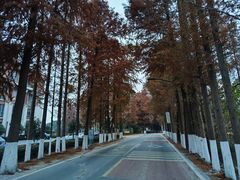 -嘉兴清池酒店温泉