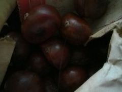 -好好栗子店(海宁总店)