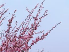 -钟山体育运动公园