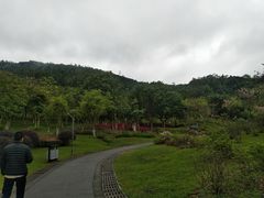 -火炉山森林公园