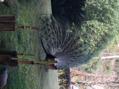 千岛湖开元度假村-杭州千岛湖开元度假村