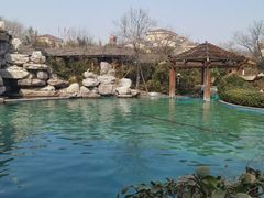 -仁爱团泊湖温泉中心