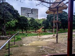 -深圳野生动物园