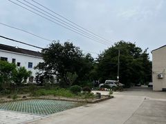 -老袁家蜜桃农场·阳山水蜜桃