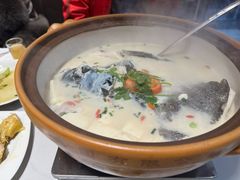 -全乐鱼馆·淳牌有机鱼直营店