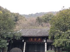 -杭州半山国家森林公园