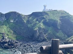 -涉地可支