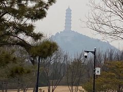 -北坞公园