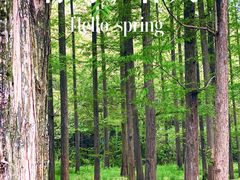 -南京市无想山景区