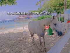 -三亚蜈支洲岛旅游区