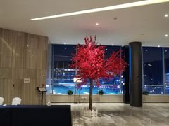 -都江堰中心国际酒店
