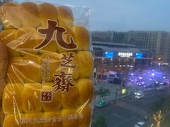 -九芝斋(解放路店)