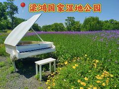 -梁鸿国家湿地公园