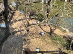 -无锡动物园·太湖欢乐园