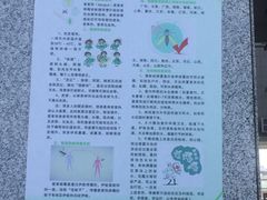 -海口东站