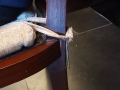 -苏州环秀晓筑养生度假村