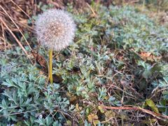 -云漫湖生态度假公园