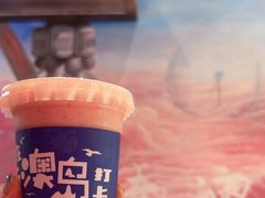 -南澳岛打卡果汁冰公司