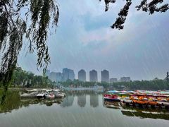 -团结湖公园