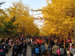 -辽宁大学(崇山校区)